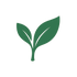Vital Natural